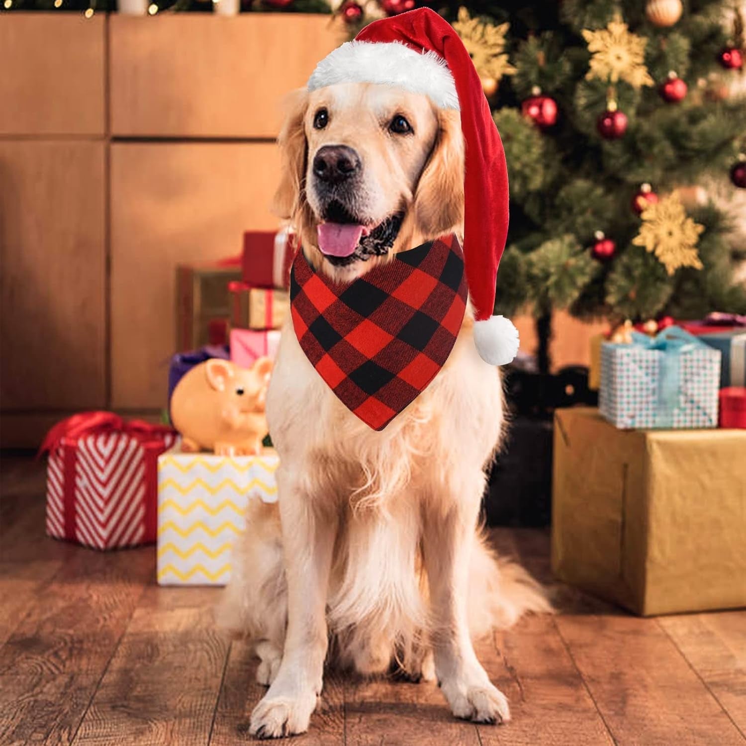Must-Have Pet Gadgets & Accessories